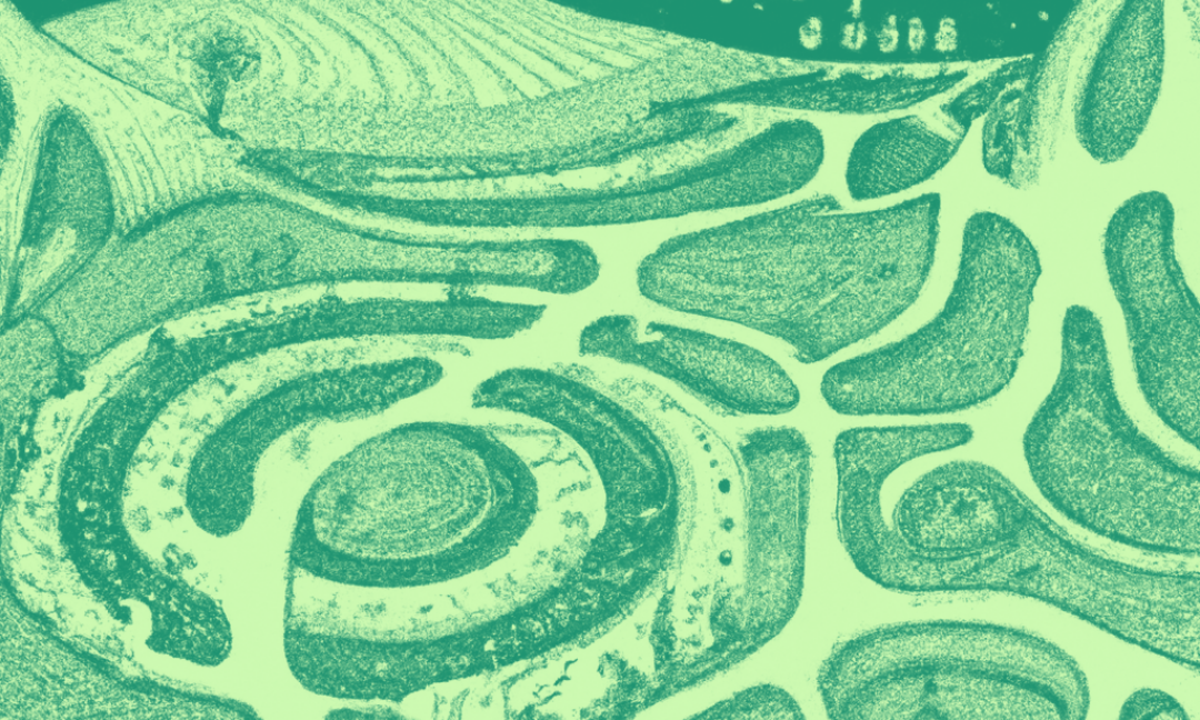 Internal conflict — the 5 types, and how to use them to drive your plot